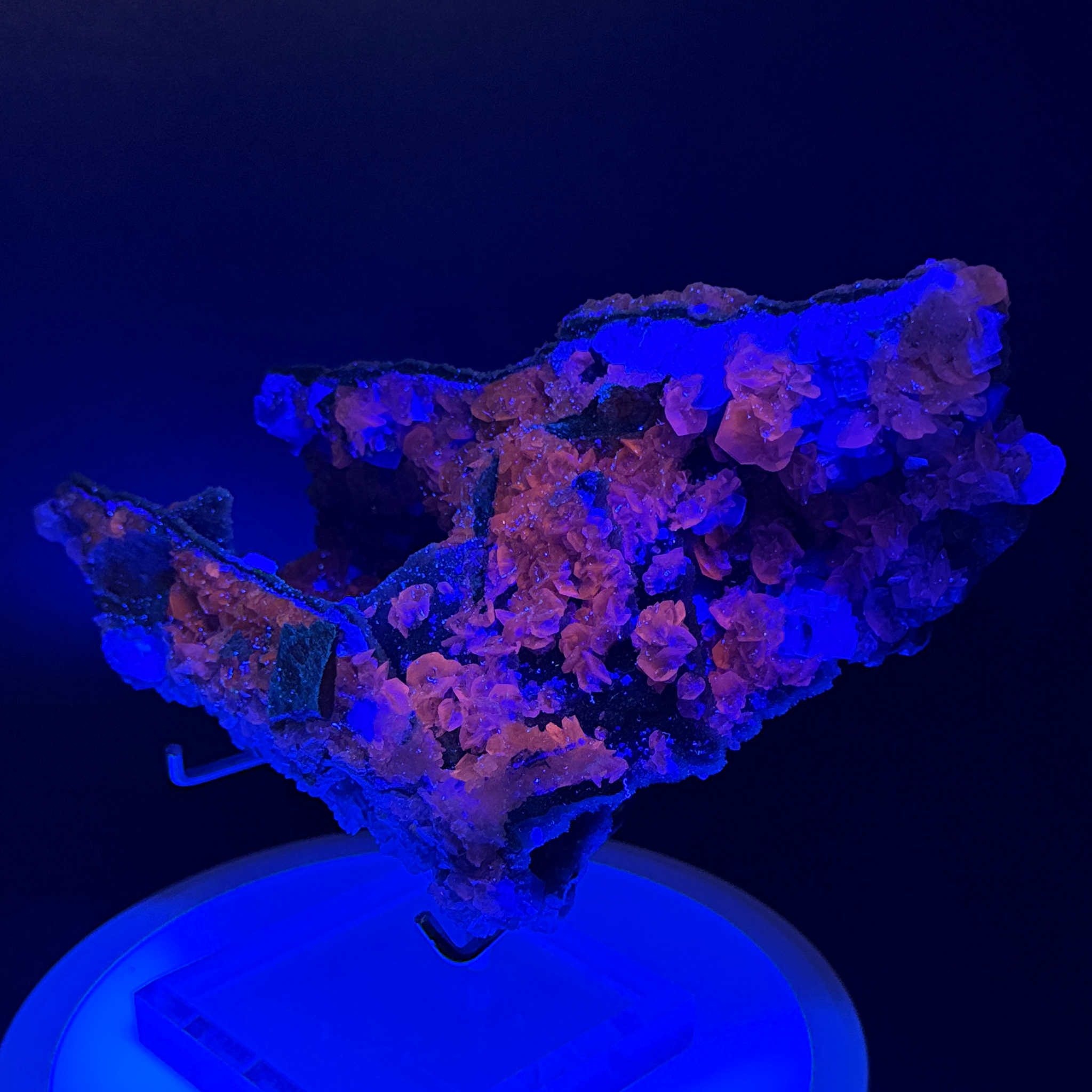 Museum-Grade Fujian Fluorite on Sphalerite with Three-Color Fluorescence on Custom Display Stand